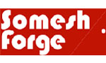 Somesh-Forge-Pvt-Ltd